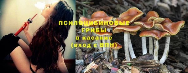 герыч Богданович